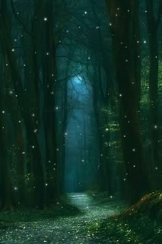 a path in the middle of a forest with stars coming out of it's trees