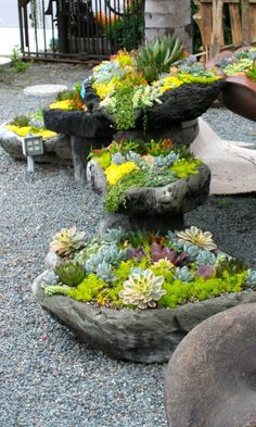 an outdoor garden with rocks and succulents in the center, surrounded by gravel