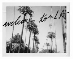 palm trees with the words welcome to l a in black and white