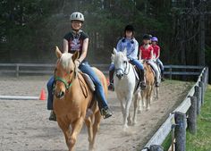 four children riding horses in an obstacle course with the caption being the only one in your lesson who doesn't own your own horse