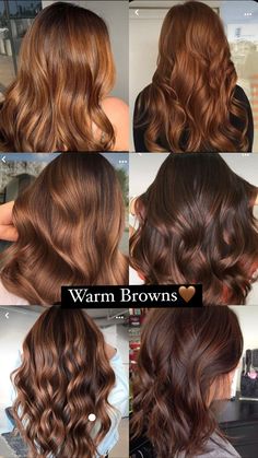 Chesnutt Hair Color, Cinnamon Hair Color Brown, Autumn Season Hair Color, Haircolor Ideas For 2024, Fall Haircolors 2023, Light Brown Hair Red Undertone, Different Types Of Brown Hair Shades, Red Toner For Brown Hair, Brown Hair Warm Tones