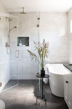 a white bath tub sitting next to a walk in shower with a plant on top of it