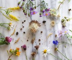 wildflowers and other flowers are arranged on a marble surface