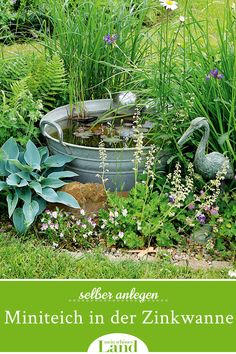 an image of a garden with flowers and plants