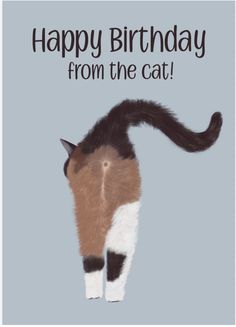 Cat Birthday, Cat Stuff, Day Wishes, Happy Birthday To You, Funny Cards, Birthday Quotes, Graduation Party, Birthday Wishes