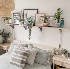 a bed with pillows and plants on the shelves above it, along with other items