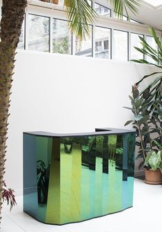 a table that is sitting in the middle of a room with potted plants on it