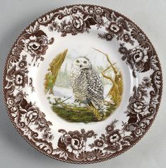 a plate with an owl sitting on top of it's side in front of a white background