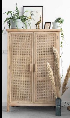 a wooden cabinet with plants on top of it next to a potted plant in a vase