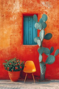 a cactus next to a potted plant in front of an orange wall with blue window