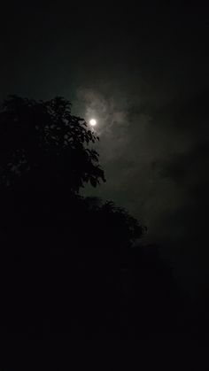 the full moon is shining brightly in the dark night sky over some trees and bushes