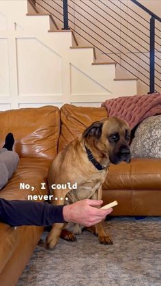 a dog sitting on the floor next to a man who is holding something in his hand