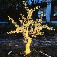 a lighted tree in the middle of a yard