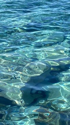 the water is very clear and blue with little ripples on it's surface