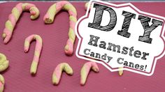 pink and yellow candy canes are arranged in the shape of letters that spell diy hamster candy canes