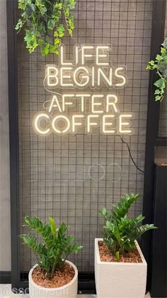 two potted plants sitting next to each other in front of a sign that says life begins after coffee