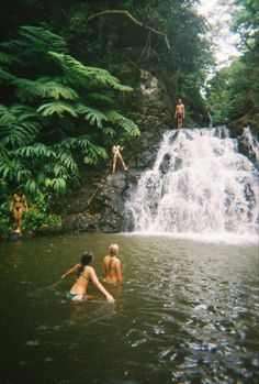 three people are swimming in the water near a waterfall and some green plants on either side