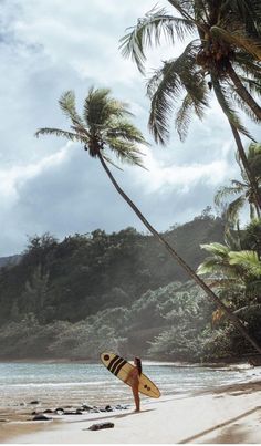 a man holding a surfboard on top of a sandy beach next to palm trees