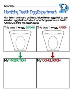 Use this page during a Dental Health unit.  Students will have the opportunity to illustrate and write their predictions of what will happen to a hard-boiled egg after it soaks in a cup of dark soda. After the experiment, students can draw the results and write what they learned in the conclusion box.    To see other great products, follow my store: LIVIN IN A VAN DOWN BY THE RIVER Thanks! Tooth Preschool, Egg Experiment, School Science Experiments, Kids Dental Health, Egg Experiments