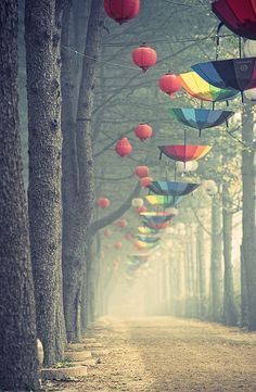 many colorful umbrellas are hanging from trees in the foggy forest with lanterns floating above them