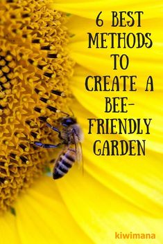 a bee sitting on top of a sunflower with text overlay reading 6 best method to create a bee friendly garden