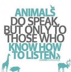 animals do speak, but only to those who know how to listen in the following words