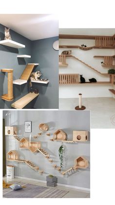 Diy Cat Wall Ideas, Bunny House, Cat Diy, Cat Wall, Wall