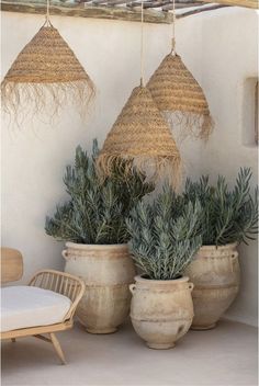 three planters with plants hanging from them