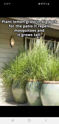 three large planters with grass in them on the side of a house