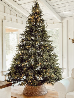 Explore a variety of breathtaking Christmas tree styles, from classic elegance to bold contemporary designs, that transform your holiday space into a festive wonderland. Christmas Tree Styles, Tall Christmas Tree, Colorado Mountain, Artificial Tree, Colorado Mountains, Nearly Natural, Contemporary Designs, Metal Stand