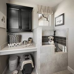 a dog is sitting in the corner of a small room with black cabinets and white walls