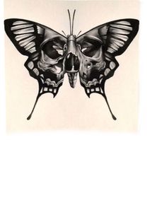 a black and white drawing of a butterfly with skull parts on it's wings