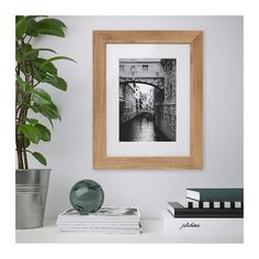 a black and white photo hanging on the wall next to a potted green plant