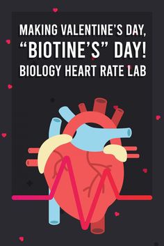 a heart with the words making valentine's day, biotine's day biology heart rate lab