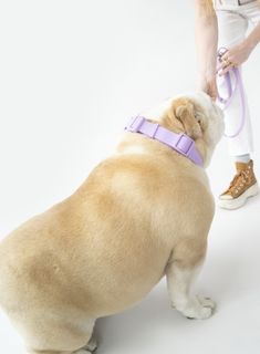 A durable, waterproof, and odor-resistant dog leash designed with a comfortable neoprene handle that’s gentle on the hands. Made for a walk in the park, the great outdoors, and every step in between with your pup by your side! Clip the easy clip system to adjust the length by making it shorter when needed or for a quick tie up while on-the-go.