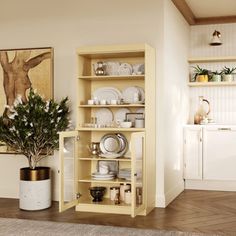 a yellow bookcase filled with dishes next to a potted plant in a living room