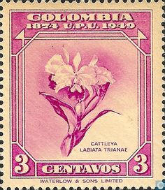 a stamp with flowers on it and the words, guatemala 3 centavos written in spanish