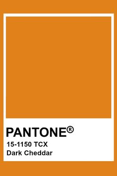 pantone's orange color is shown in this graphic style, with the word apricot on it