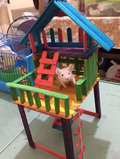 a toy house with a hamster in it