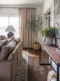 a living room filled with furniture and a tree