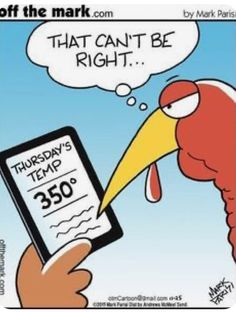 Funny Thanksgiving Pictures, Turkey Jokes, Thanksgiving Meme, Thanksgiving Jokes, Thanksgiving Cartoon, Thanksgiving Pictures, Happy Turkey Day