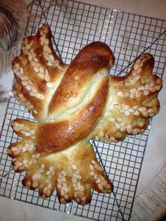 a close up of bread on a cooling rack with a cat in the back ground