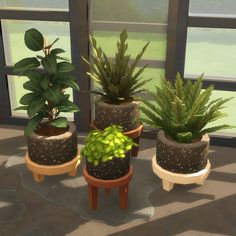 three potted plants sitting on small stools in front of a large window,