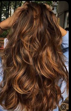 Purple Highlights Brown Hair, Highlights Brown Hair Short, Highlights Brown Hair Balayage, Brown Hair With Caramel Highlights, Honey Brown Hair, Chocolate Brown Hair, Hair Color Light Brown, Caramel Hair, Brown Hair Balayage