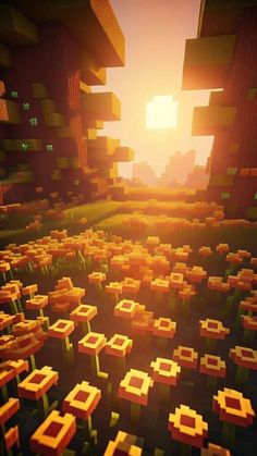 the sun shines brightly over an area with many squares and rectangles in it