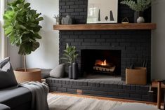 a living room with a couch, fireplace and potted plants on the mantles