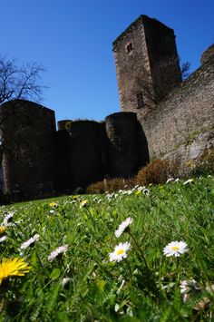 some daisies are in the grass near an old castle