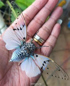 a small butterfly sitting on the palm of someone's hand