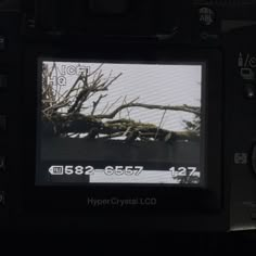 an image of a video camera with trees on it's screen and the words hyper crystal lod