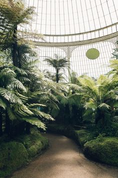 the inside of a building with lots of trees and plants